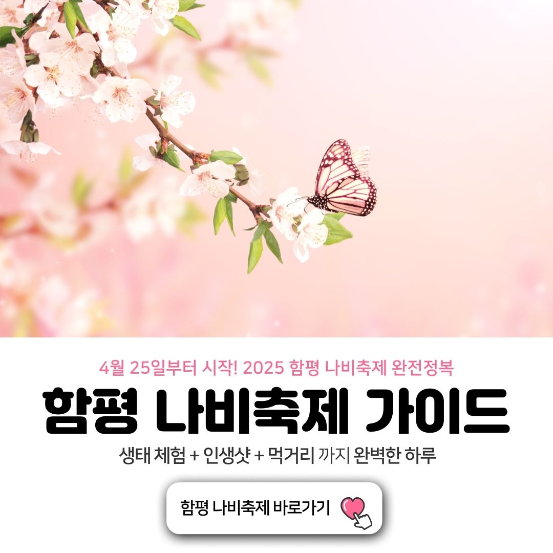 2025 함평 나비축제 소개