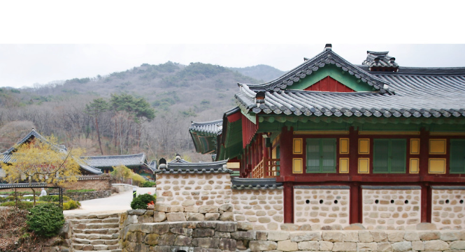 사찰 기와 ,돌담 ,산수유