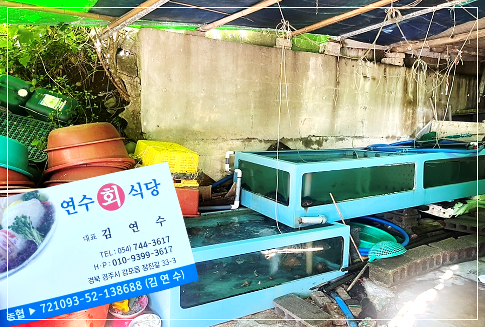 경주 연수회식당 명함과 마당의 수족관