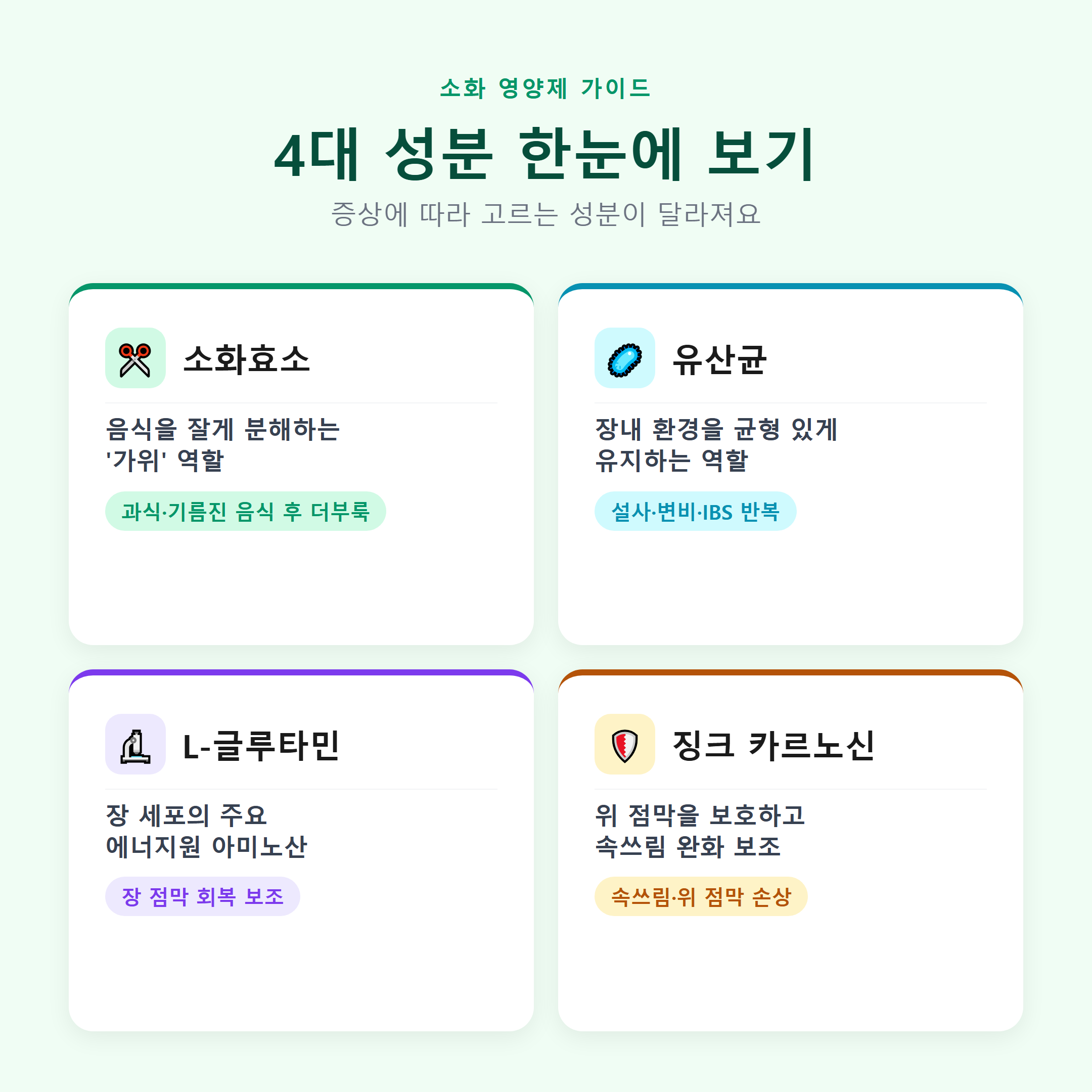 소화 영양제 4대 성분(소화효소·유산균·L-글루타민·징크 카르노신) 한눈에 보기