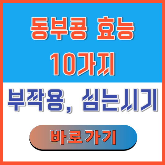 동부콩-효능-10가지-부작용-심는시기