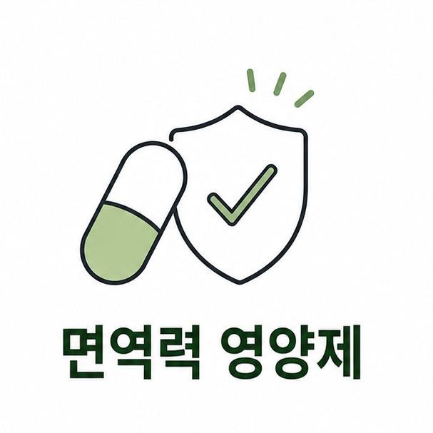 면역력 영양제 대표 이미지, 알약과 방패를 결합한 단순한 선 일러스트