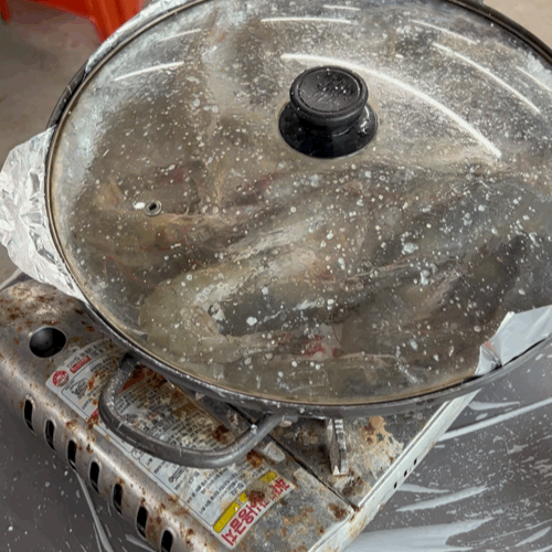 냄비속에서 팔딱이는 대하 생새우 약암새우양식장