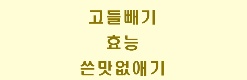 고들빼기-썸네일