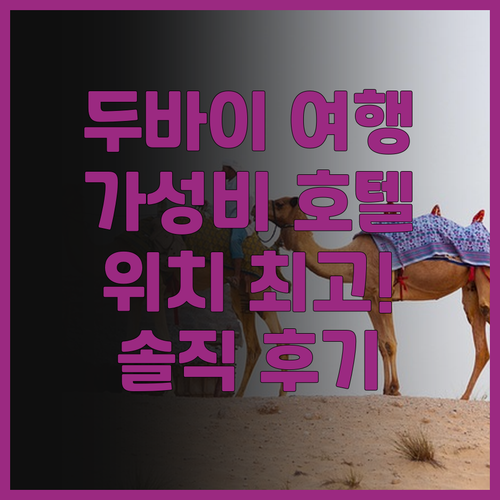 두바이 여행객 필독 로브 트레이드 센..