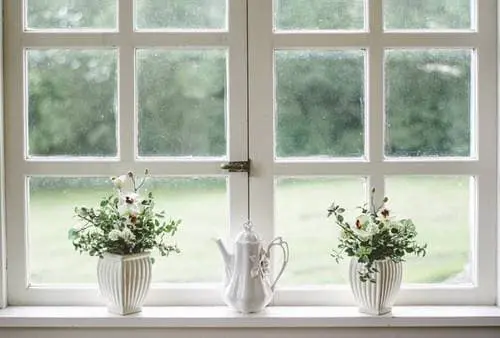 곰팡이 제거 후 관리