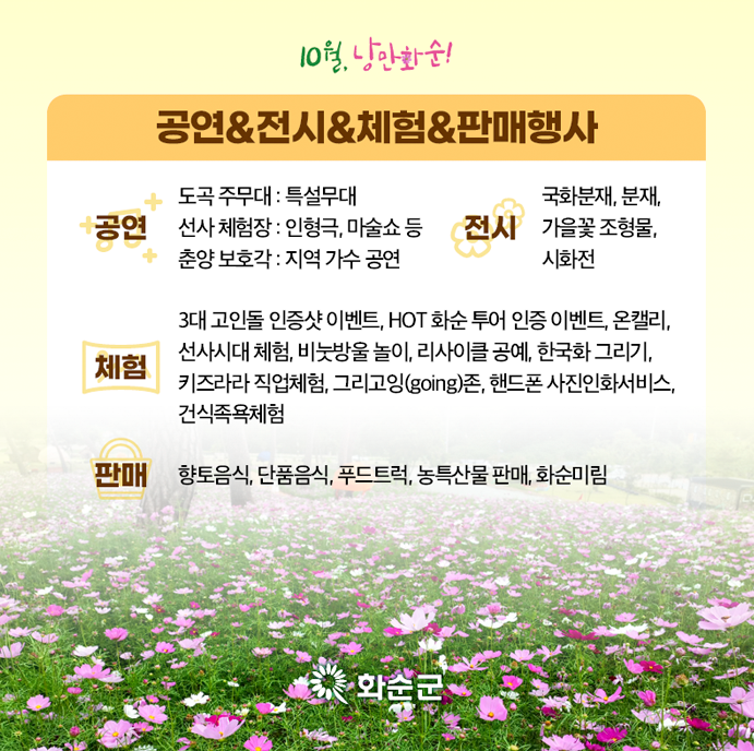 화순 고인돌 가을꽃축제