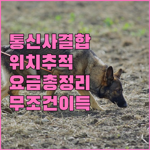 통신사 결합 혜택 포함 위치추적 서비..