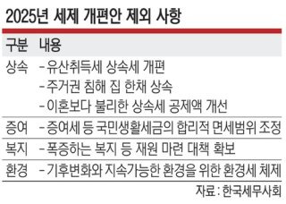 세제 개편안 법인세율 인상