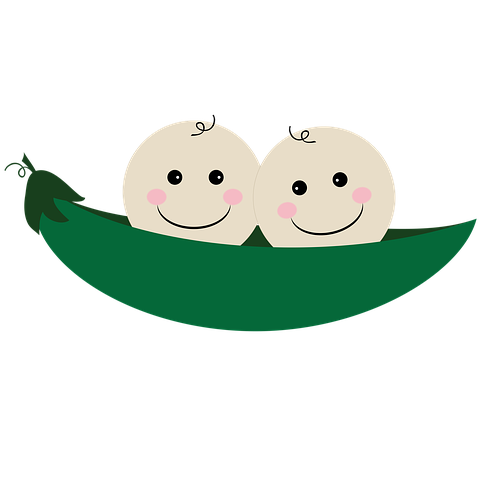 5월 제철음식 효능