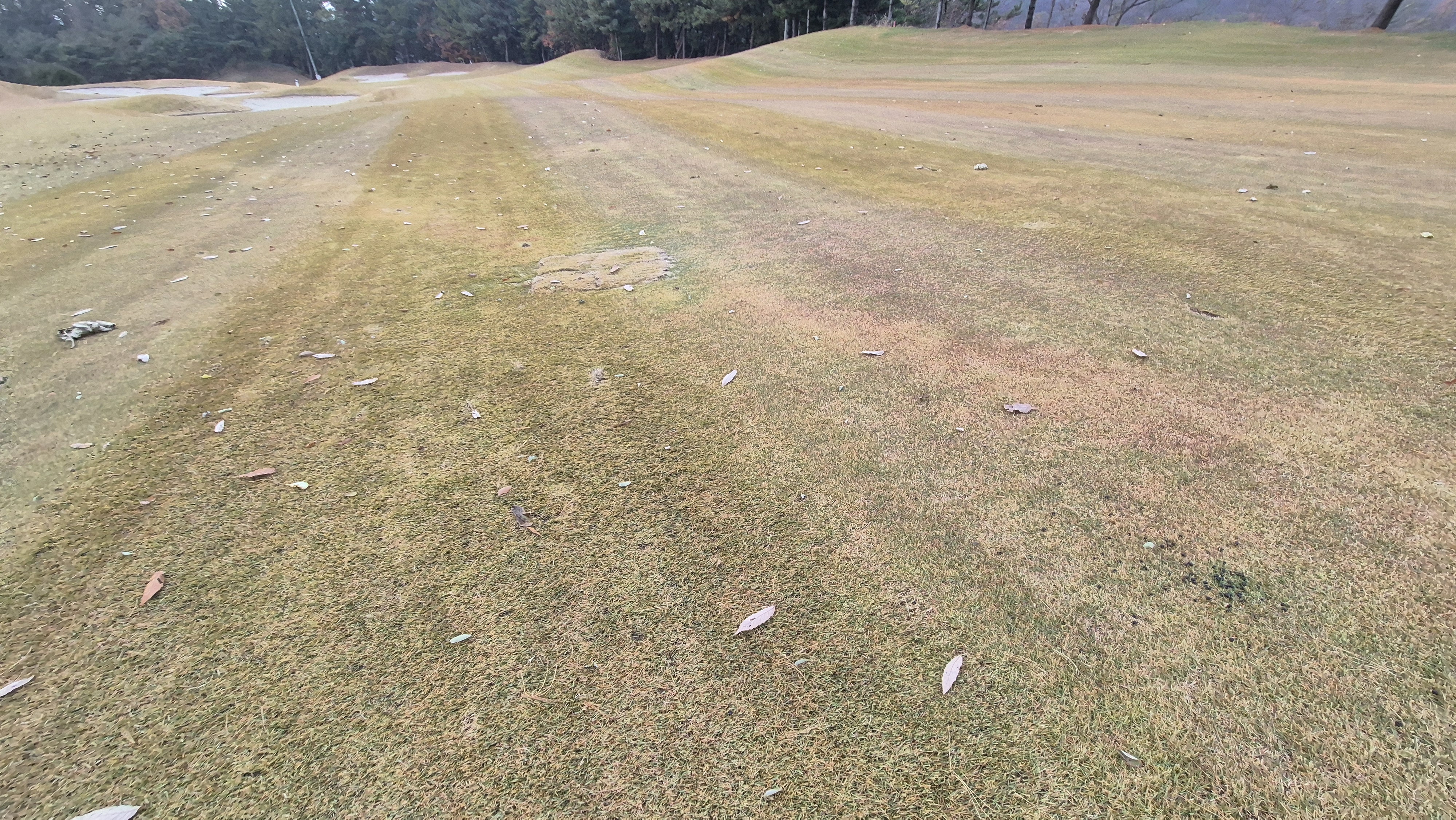 올데이 떼제베cc 가람-누리(서-남) 코스난이도