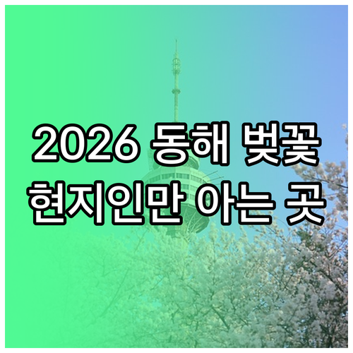 2026년 동해 벚꽃 만개 시기 및 ..
