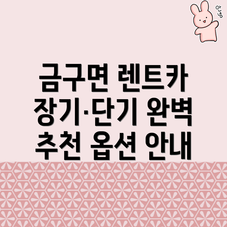 김제시 렌트카