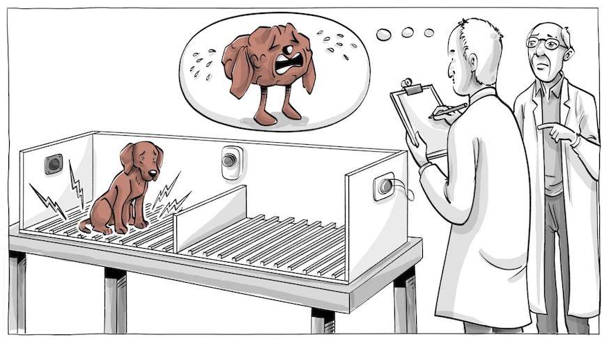 학습된 무력감 실험