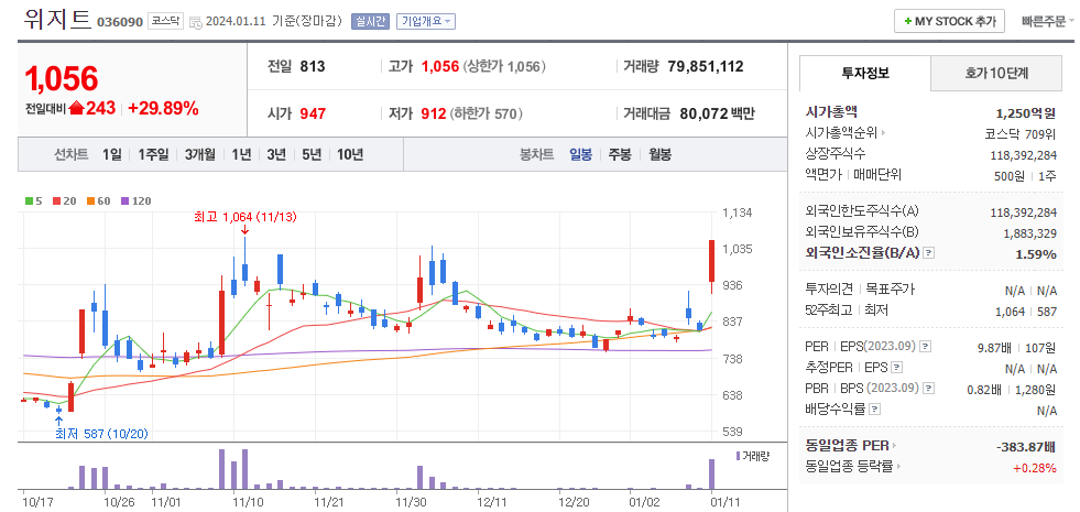 위지트 일봉차트