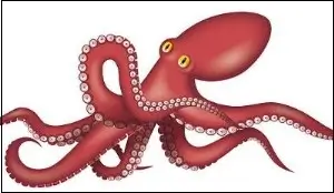 대왕문어를 토막내는꿈