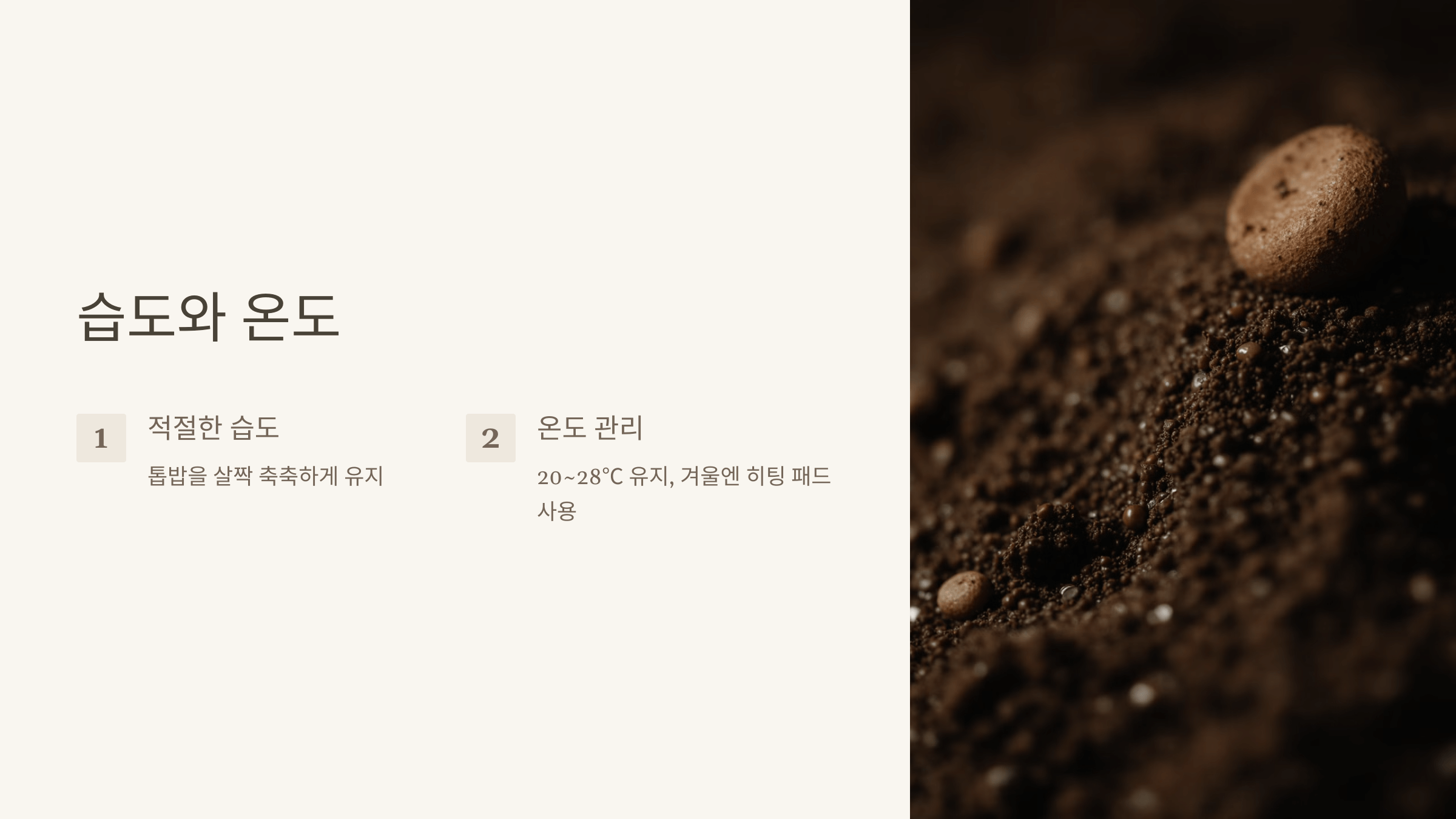 사슴벌레 사진입니다.