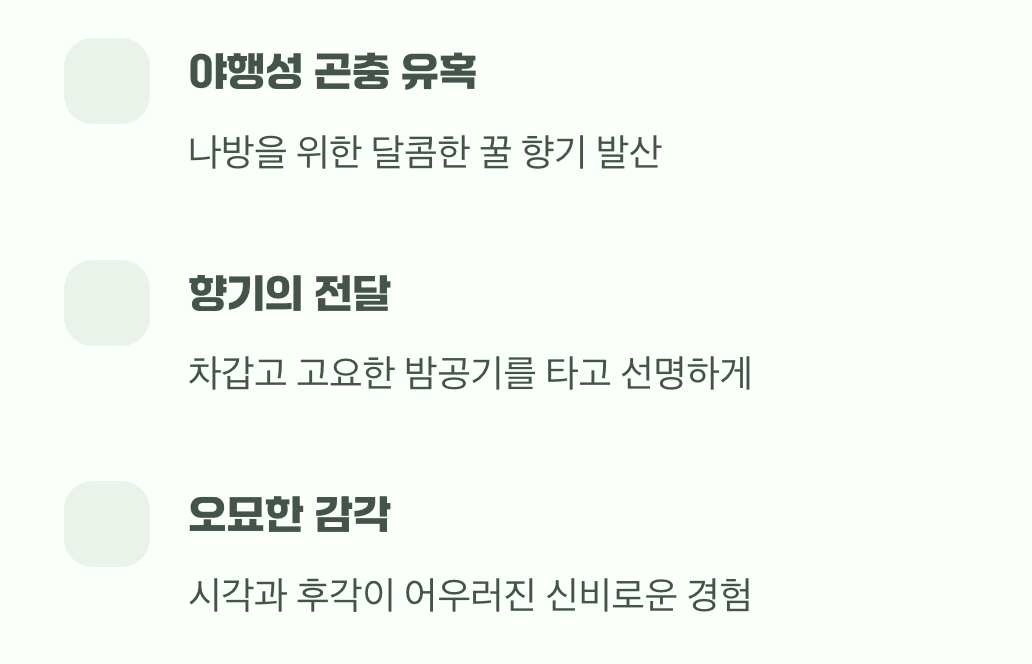 밤에 더 진해지는 은은한 향기