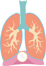 폐에 물이 차는 원인