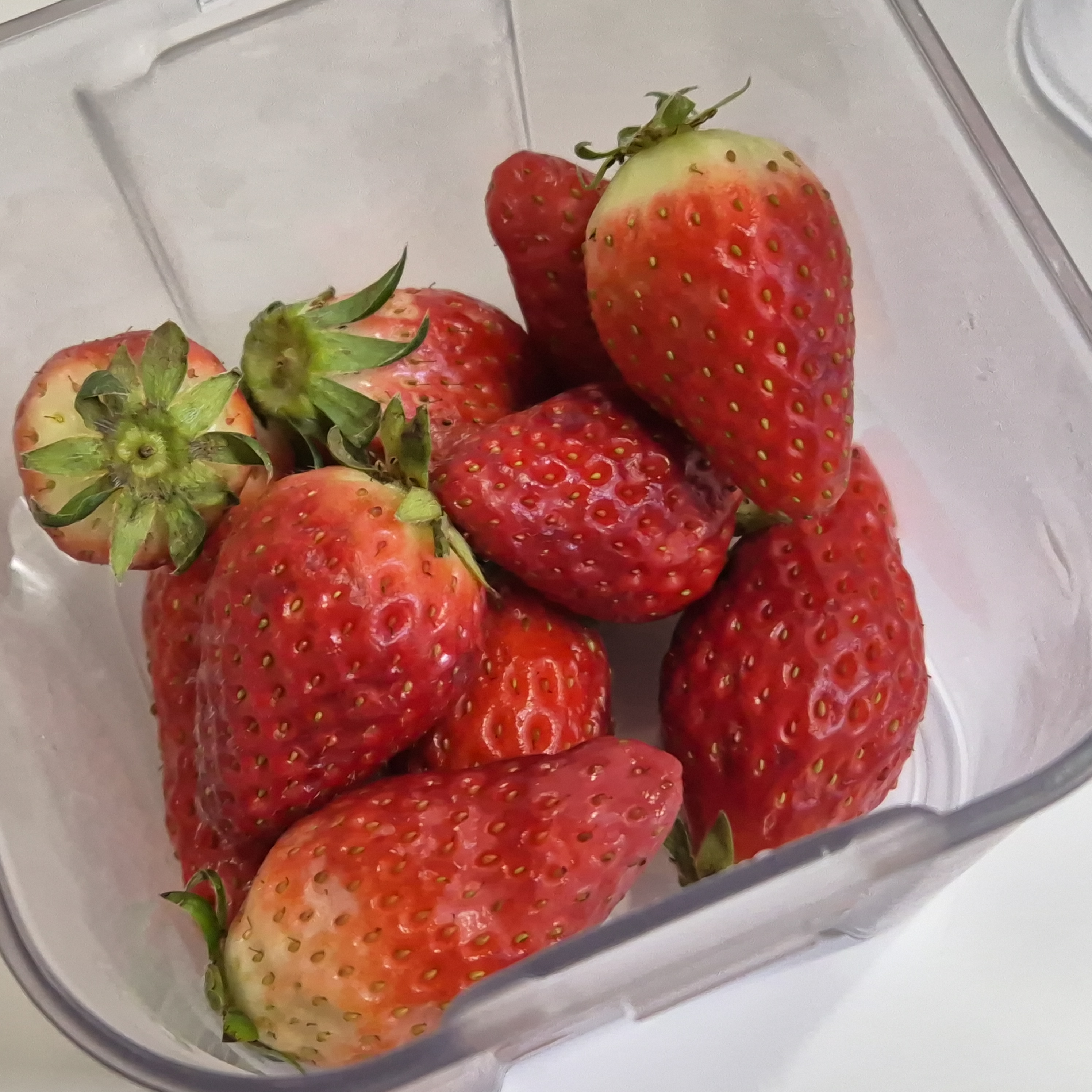 3일지난 딸기 사진