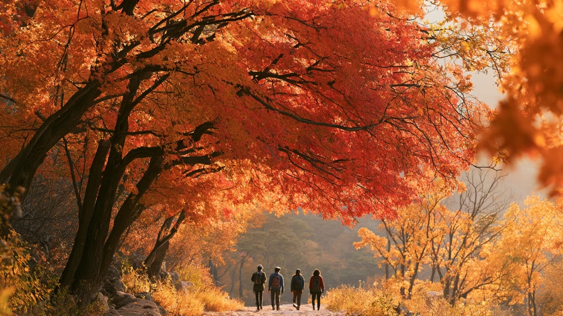 동행 커뮤니티에서 단풍 여행 파트너를 찾는 사람