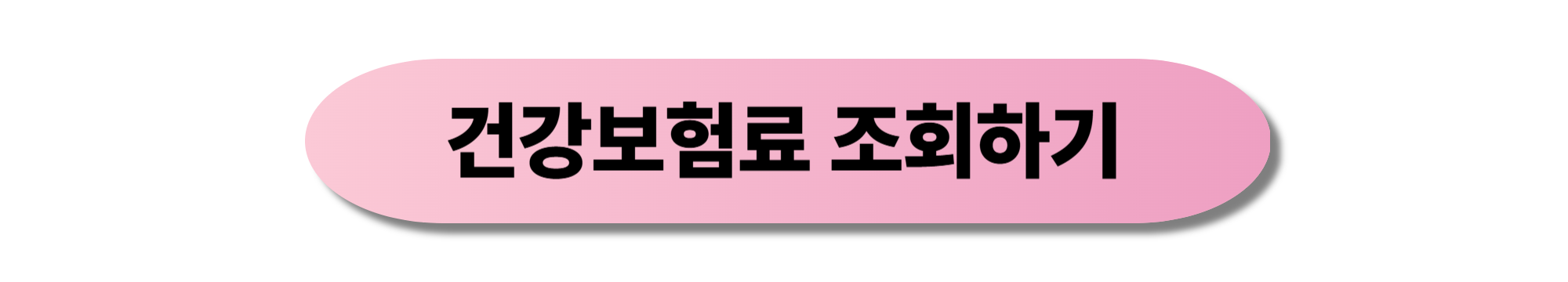 건강보험료 조회하기