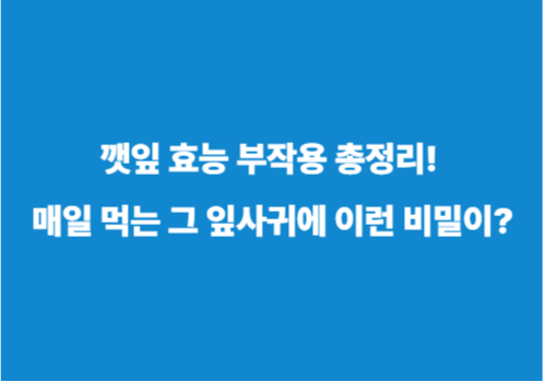 깻잎 효능 부작용 총정리! 매일 먹는 그 잎사귀에 이런 비밀이?