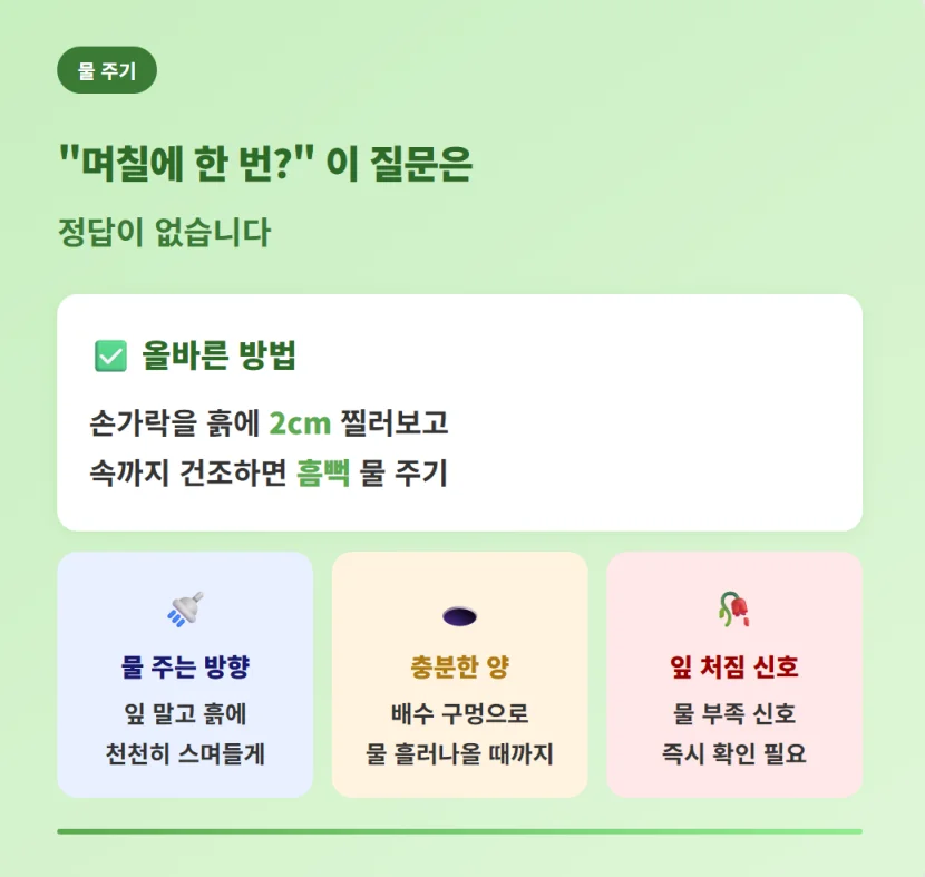 "손가락으로 겉흙 상태를 확인하고 바질 물 주는 올바른 방법"