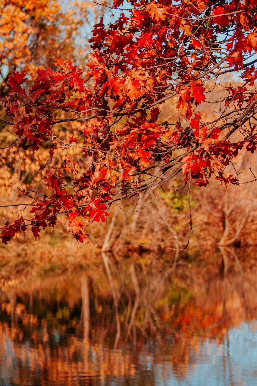 2026년 서울시 다자녀 혜택