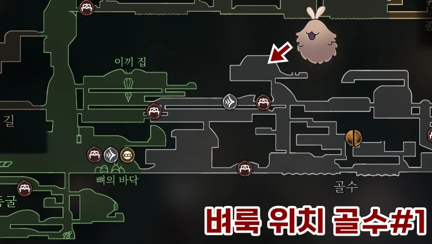 벼룩 위치 골수