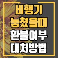 비행기를 놓쳤을때 유용한 4가지 방법