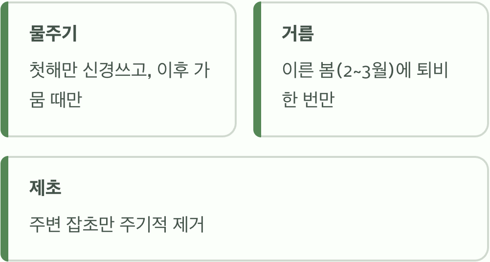 특별한 관리 없이도 쑥쑥! (물, 거름, 제초)