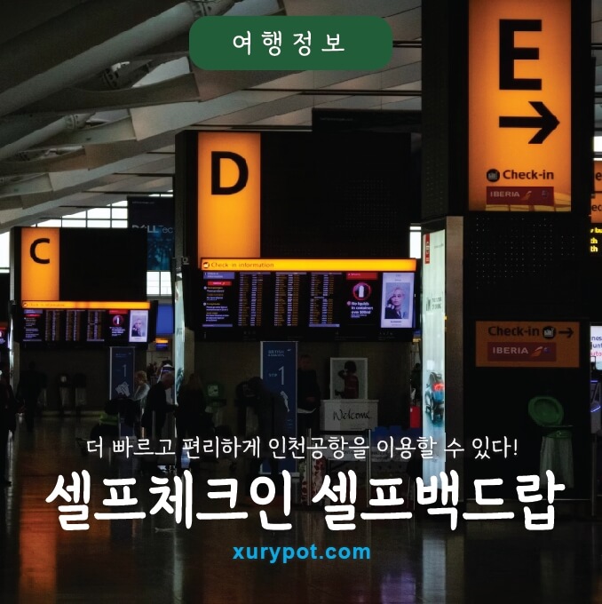 공항 체크인