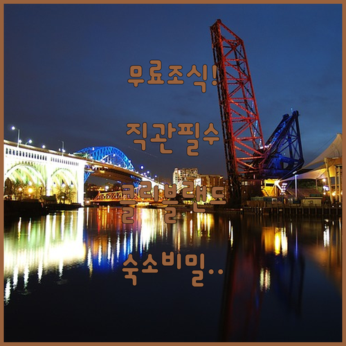 스포츠 직관부터 무료 조식까지 클리블..