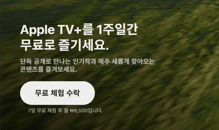 손흥민 LAFC 경기일정 중계 무료시청 방법