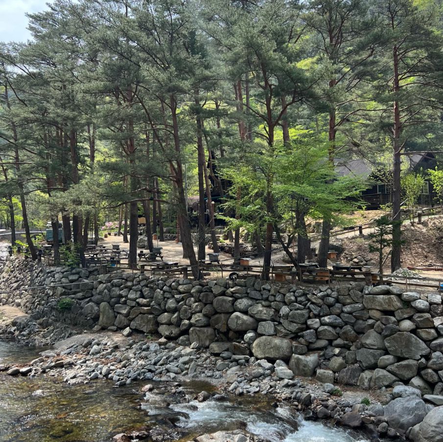 미천골자연휴양림