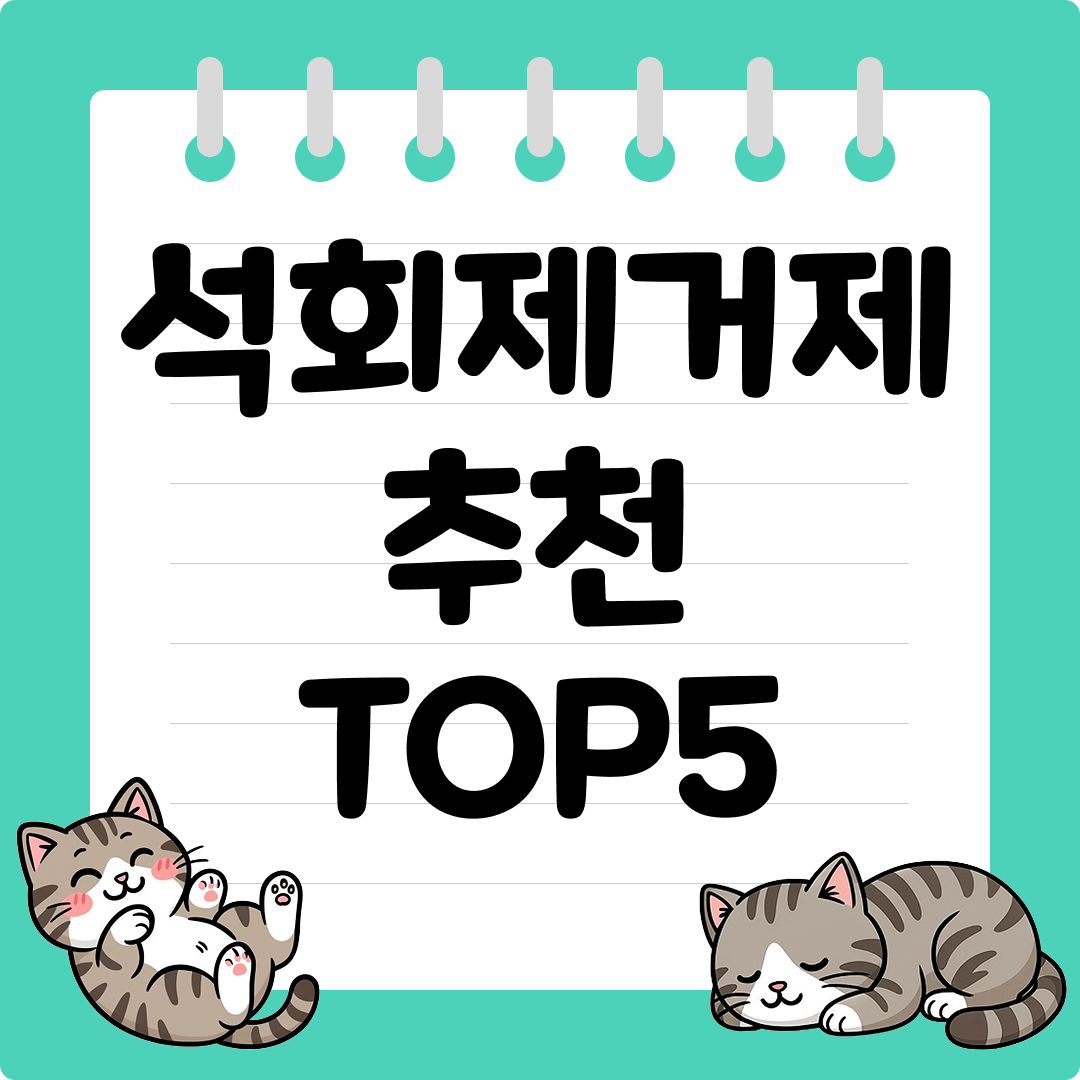 욕실 청소가 쉬워지는 석회 제거제 추천 순위 TOP5
