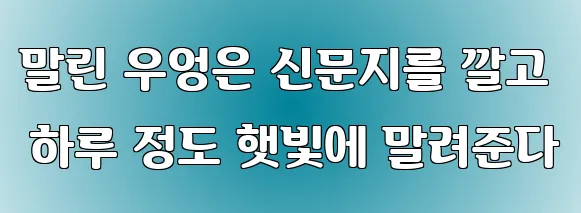 말린 우엉은 신문지를 깔고 하루 정도 햇빛에 말려준다