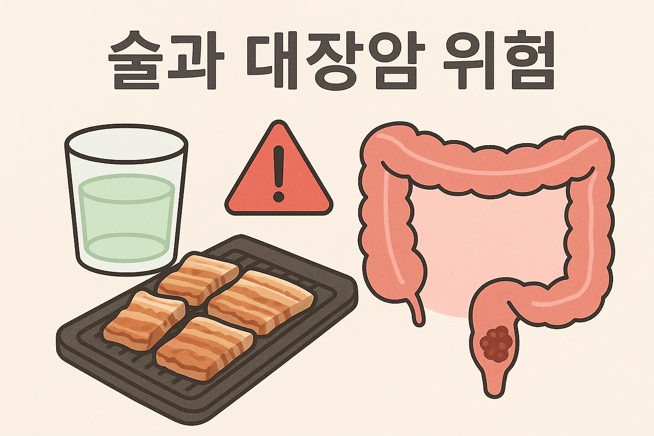 술이 대장암 위험을 높이는 이유