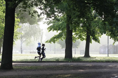 코엔자임 큐텐의 효능