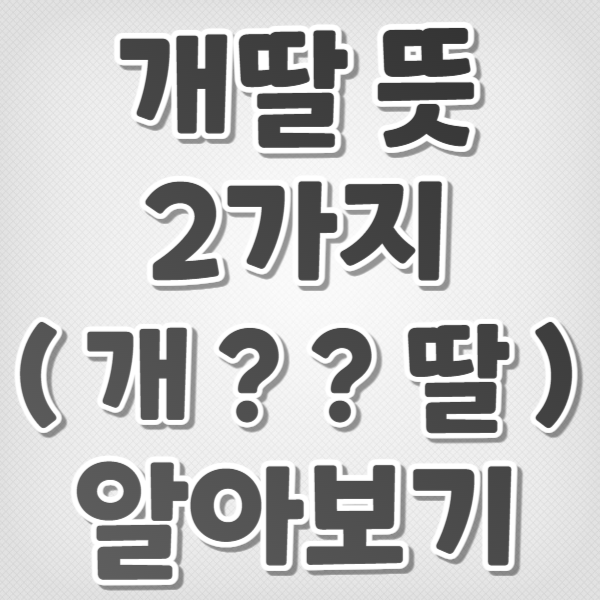 개딸 뜻 2가지 알아보기