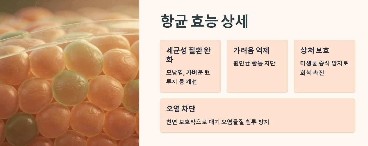 코코넛 오일 피부효능 성분