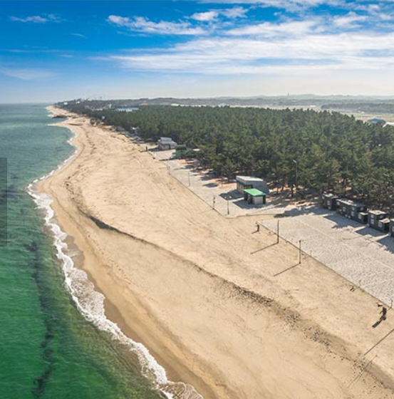 연곡솔향기 캠핑장 예약방법 및 이용방법 총정리