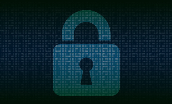 사이버보안 전문가: 디지털 세상의 수호자