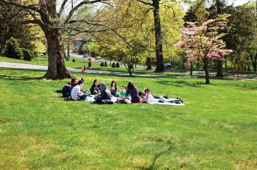 대학교 안 잔디 위에서 휴식을 취하는 학생들