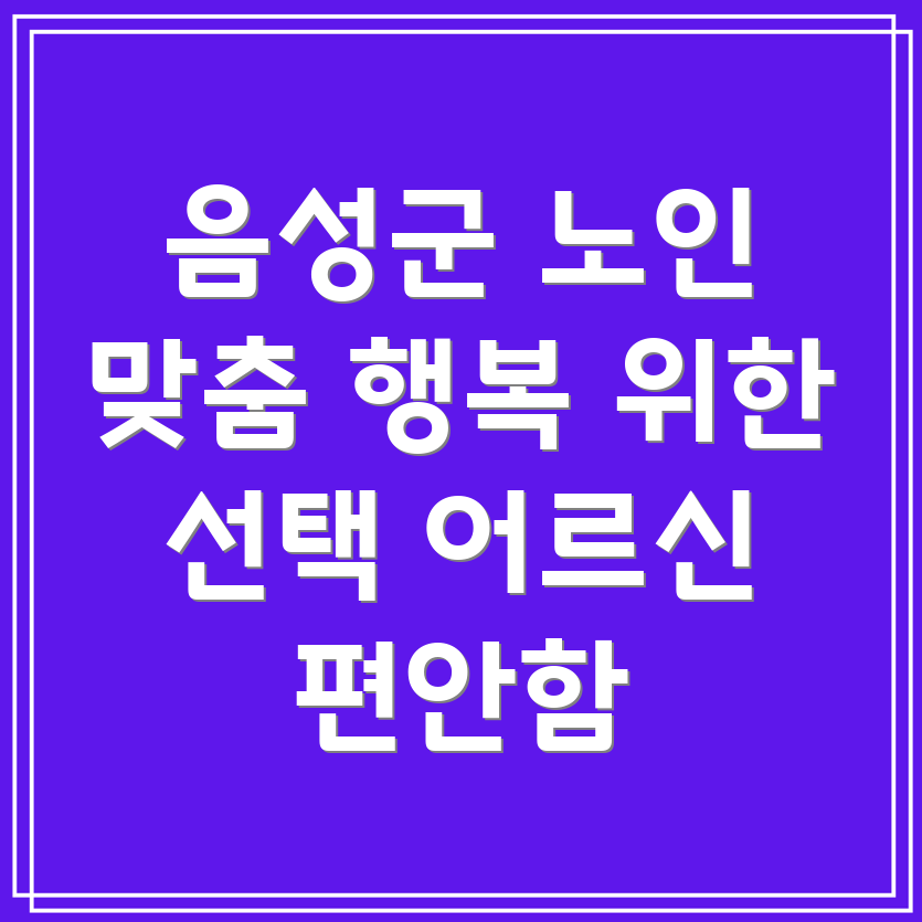 노인 맞춤형 서비스
