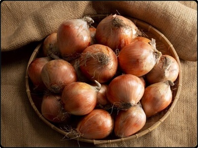 자색양파즙 효능 부작용