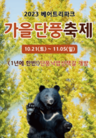 단풍축제08