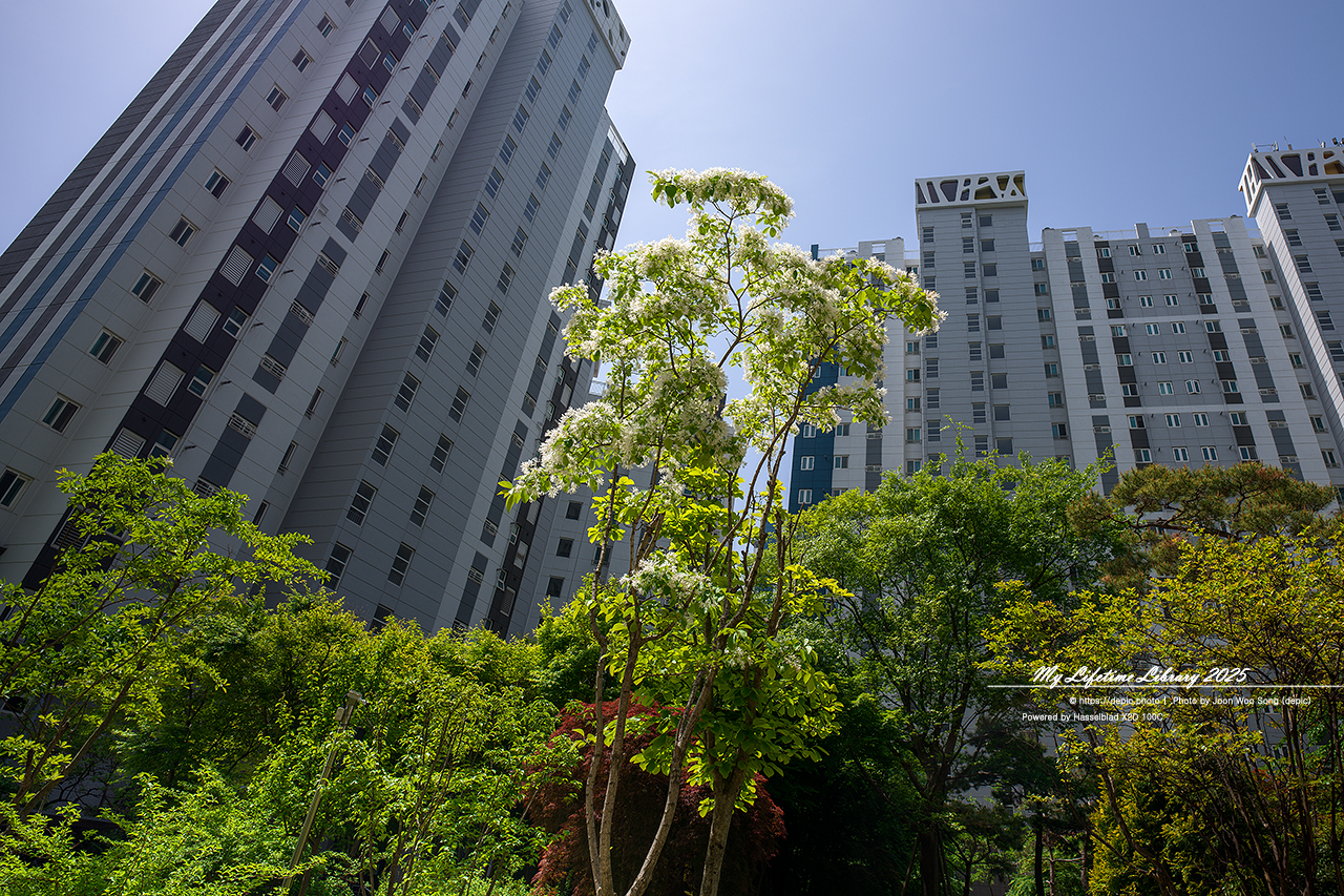 #아파트 #정원 #오창 #오창대성베르힐