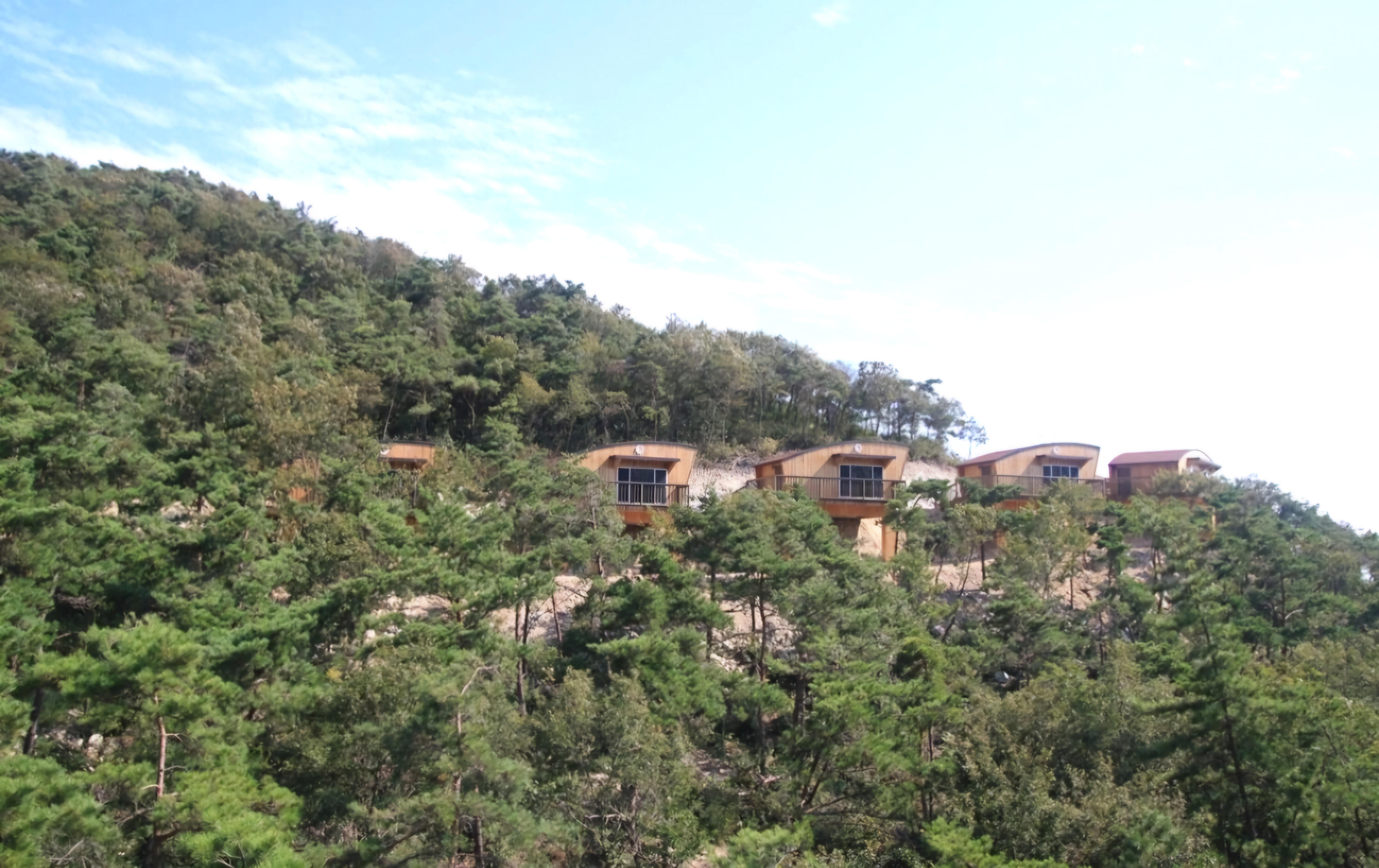 변산반도자연휴양림-숙소-숲-나무-하늘